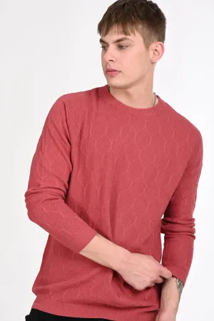 Red Textured Regular Fit Sweater